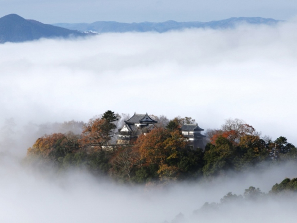 山田方谷に学ぶ 掲載画像3